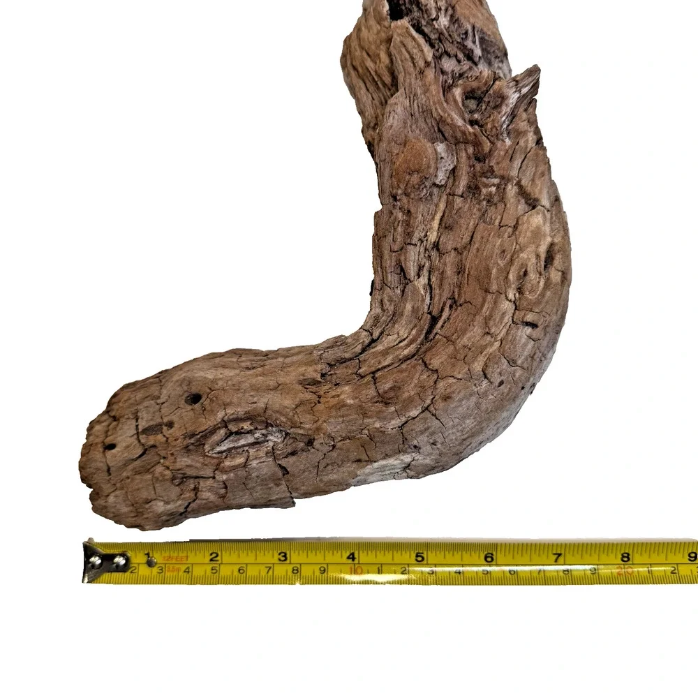 Set of 2 California Natural Driftwood Wavy Burlwood Terrarium Aquarium Craft